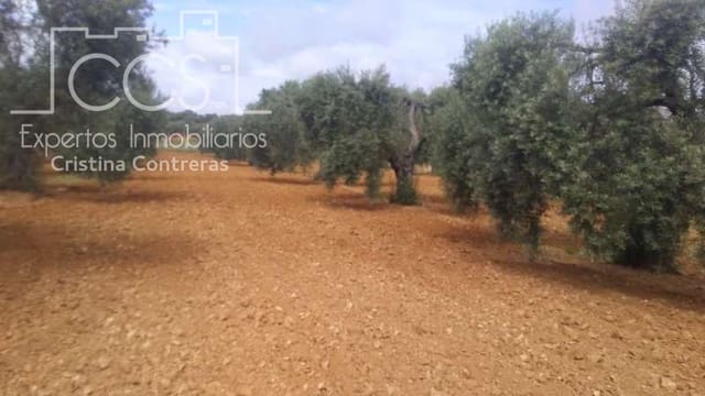 Działka budowlana na sprzedaż w Almonte - 45 000 € (Ref: 5343949)