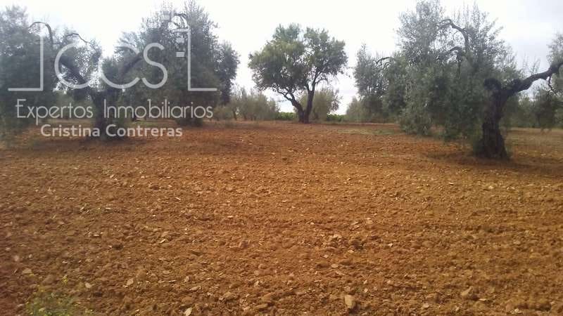 Działka budowlana na sprzedaż w Almonte - 45 000 € (Ref: 5343949)