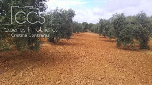 Działka budowlana na sprzedaż w Almonte - 45 000 € (Ref: 5343949)