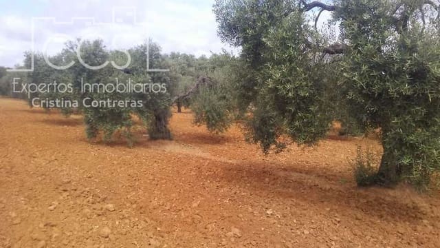 Działka budowlana na sprzedaż w Almonte - 45 000 € (Ref: 5343949)