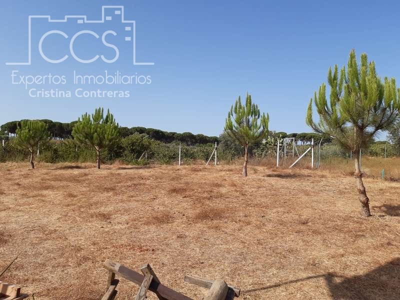 2 quarto Quinta/Casa Rural para venda em Almonte - 120 000 € (Ref: 5485660)