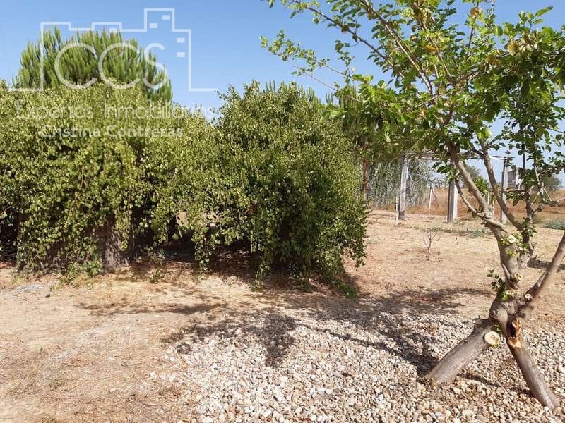 2 quarto Quinta/Casa Rural para venda em Almonte - 120 000 € (Ref: 5485660)