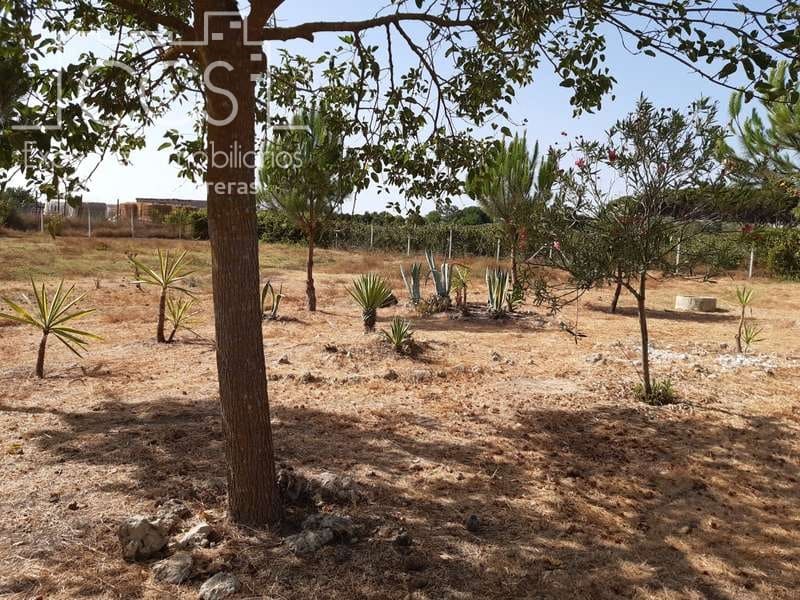 2 quarto Quinta/Casa Rural para venda em Almonte - 120 000 € (Ref: 5485660)