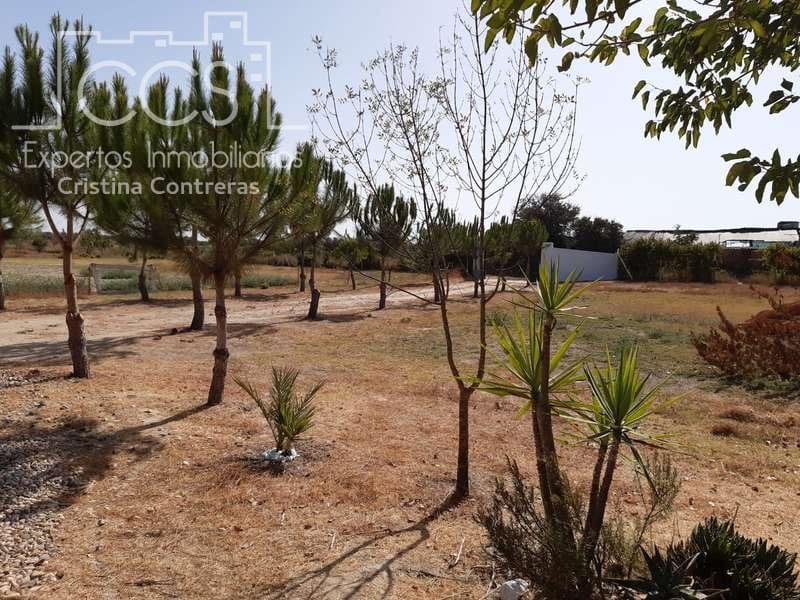 2 quarto Quinta/Casa Rural para venda em Almonte - 120 000 € (Ref: 5485660)