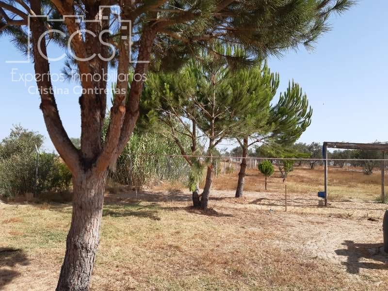 2 quarto Quinta/Casa Rural para venda em Almonte - 120 000 € (Ref: 5485660)