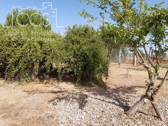 2 quarto Quinta/Casa Rural para venda em Almonte - 120 000 € (Ref: 5485660)