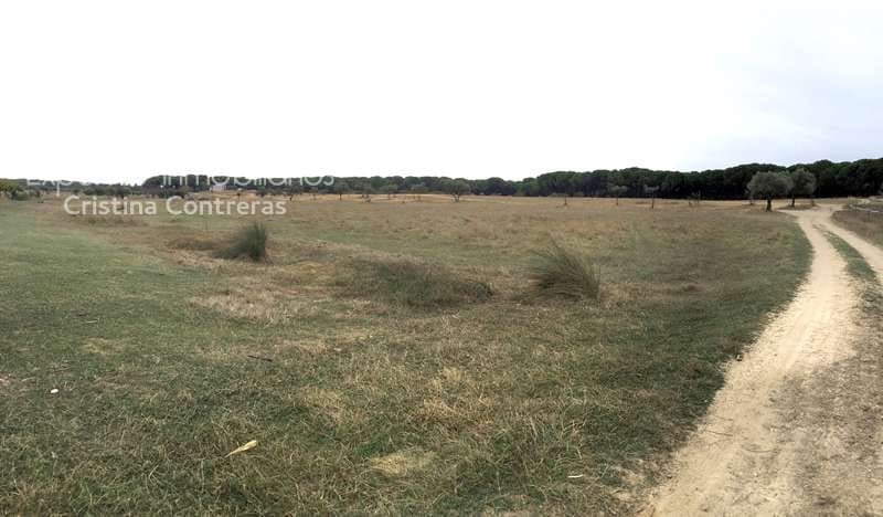 2 slaapkamer Finca/Landhuis te koop in Almonte - € 80.000 (Ref: 5625630)