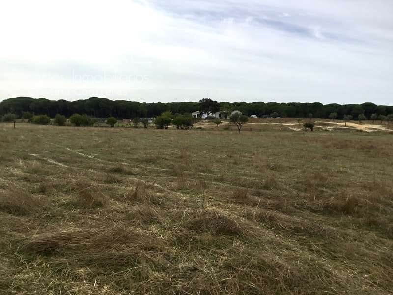 2 slaapkamer Finca/Landhuis te koop in Almonte - € 80.000 (Ref: 5625630)