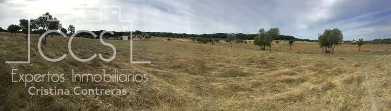 2 slaapkamer Finca/Landhuis te koop in Almonte - € 80.000 (Ref: 5625630)