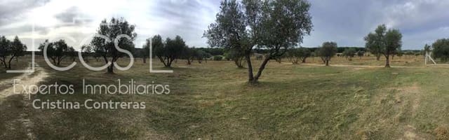 2 bedroom Finca/Country House for sale in Almonte - € 80,000 (Ref: 5625630)