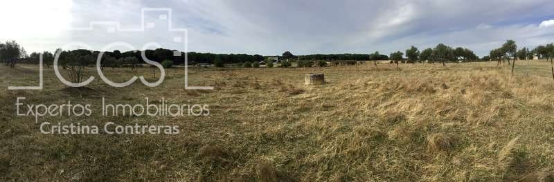 2 slaapkamer Finca/Landhuis te koop in Almonte - € 80.000 (Ref: 5625630)