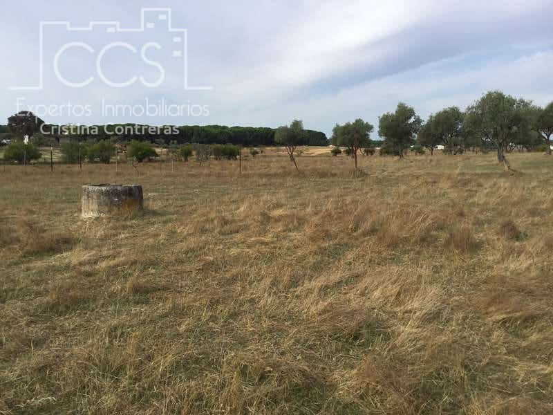 2 slaapkamer Finca/Landhuis te koop in Almonte - € 80.000 (Ref: 5625630)