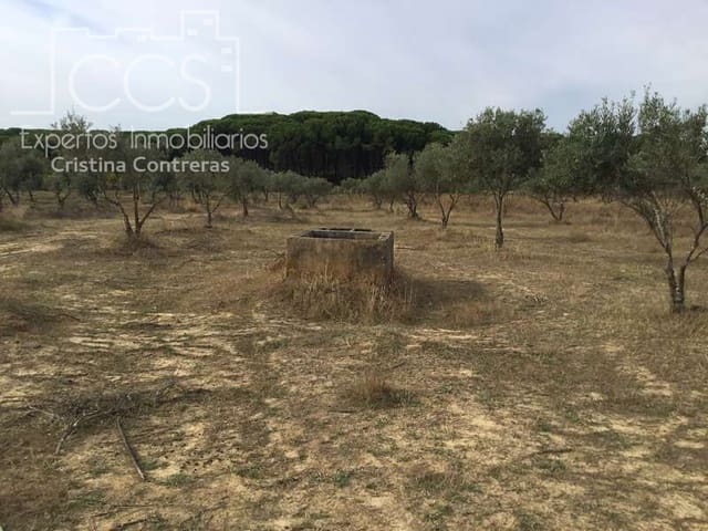 2 bedroom Finca/Country House for sale in Almonte - € 80,000 (Ref: 5625630)