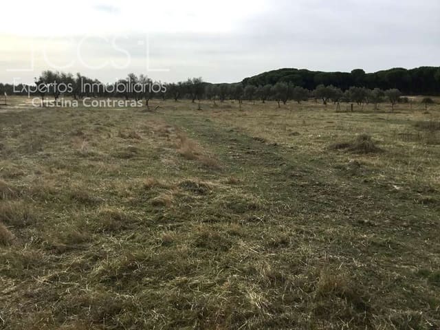 2 bedroom Finca/Country House for sale in Almonte - € 80,000 (Ref: 5625630)