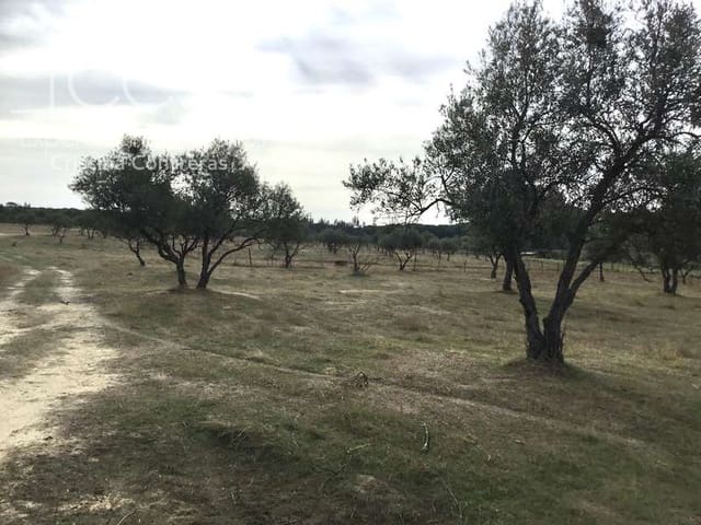 2 bedroom Finca/Country House for sale in Almonte - € 80,000 (Ref: 5625630)