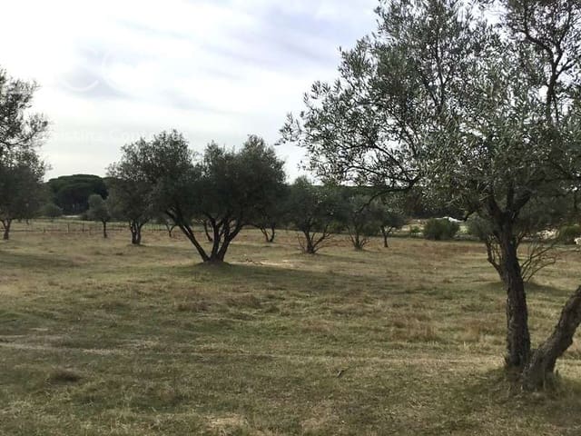 2 bedroom Finca/Country House for sale in Almonte - € 80,000 (Ref: 5625630)