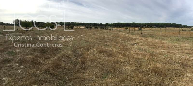 2 bedroom Finca/Country House for sale in Almonte - € 80,000 (Ref: 5625630)