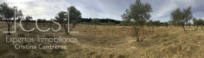 2 bedroom Finca/Country House for sale in Almonte - € 80,000 (Ref: 5625630)