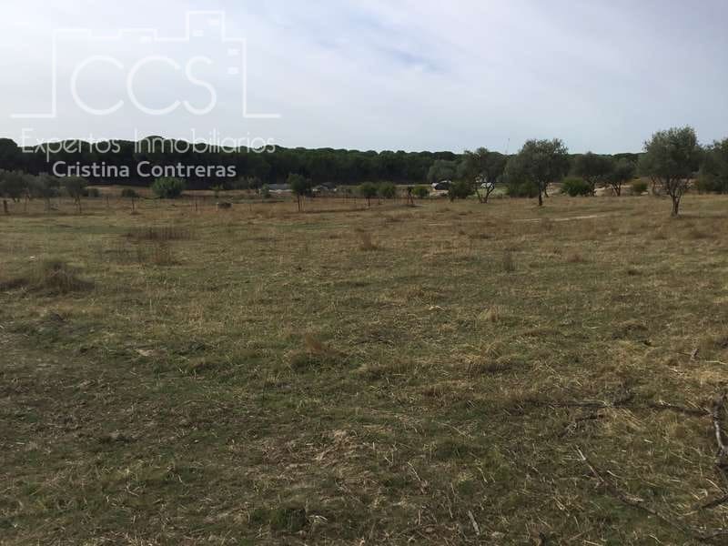2 bedroom Finca/Country House for sale in Almonte - € 80,000 (Ref: 5625630)