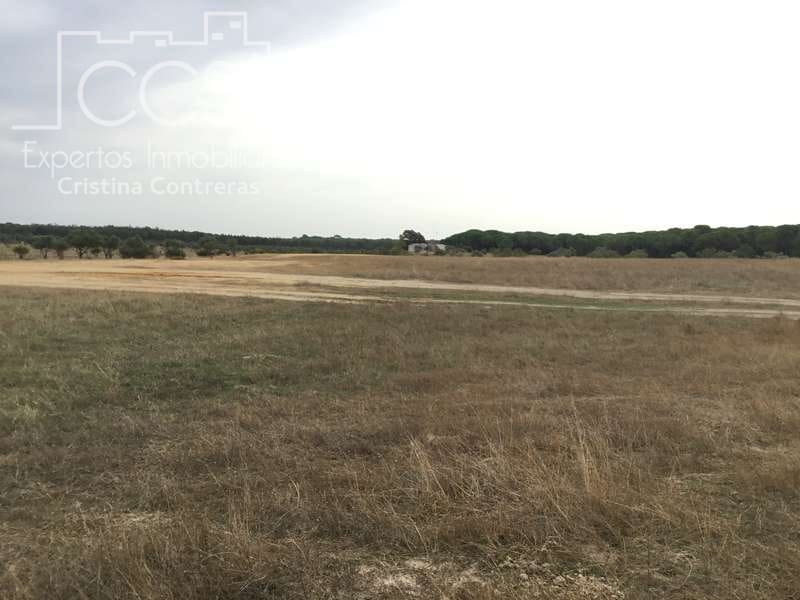 2 bedroom Finca/Country House for sale in Almonte - € 80,000 (Ref: 5625630)
