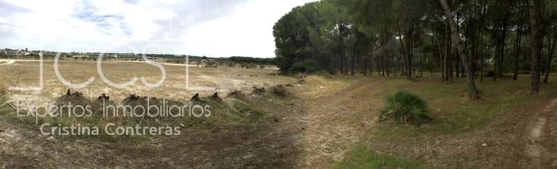 2 bedroom Finca/Country House for sale in Almonte - € 80,000 (Ref: 5625630)