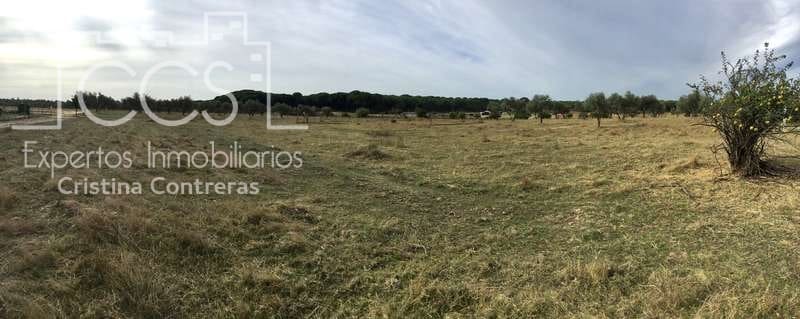 2 bedroom Finca/Country House for sale in Almonte - € 80,000 (Ref: 5625630)