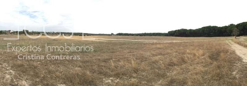 2 bedroom Finca/Country House for sale in Almonte - € 80,000 (Ref: 5625630)
