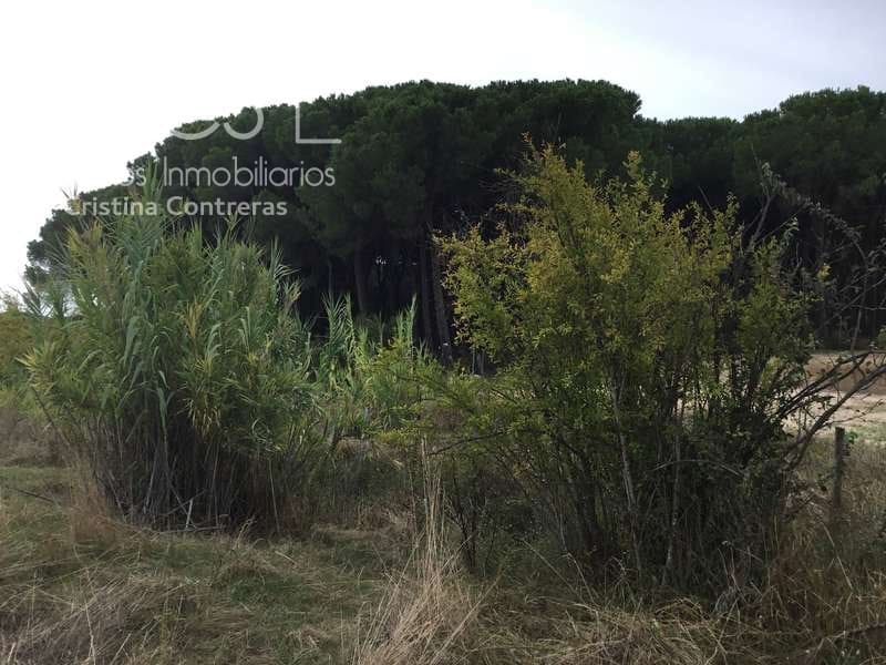 2 bedroom Finca/Country House for sale in Almonte - € 80,000 (Ref: 5625630)