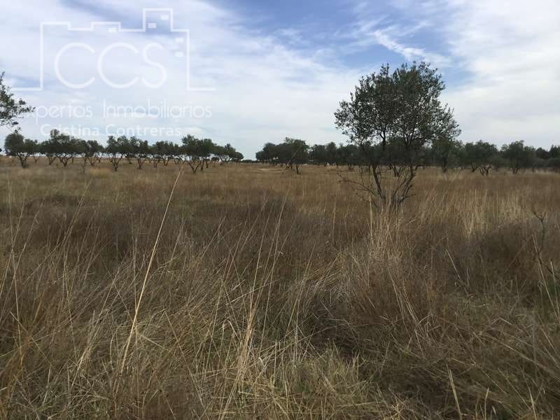 2 bedroom Finca/Country House for sale in Almonte - € 80,000 (Ref: 5625630)