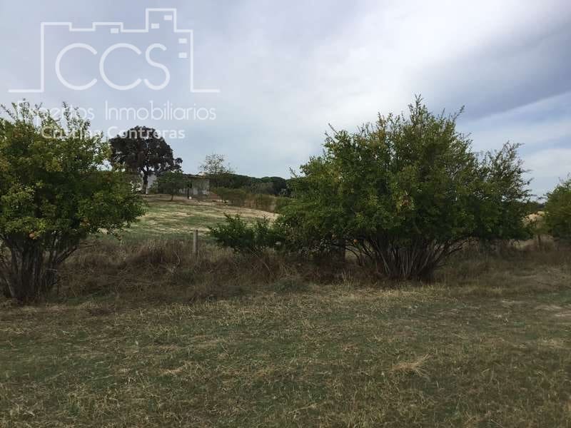 2 bedroom Finca/Country House for sale in Almonte - € 80,000 (Ref: 5625630)