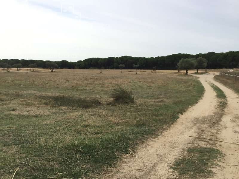 2 bedroom Finca/Country House for sale in Almonte - € 80,000 (Ref: 5625630)