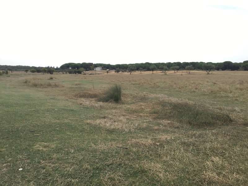 2 bedroom Finca/Country House for sale in Almonte - € 80,000 (Ref: 5625630)
