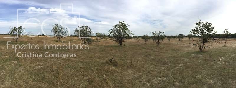 2 bedroom Finca/Country House for sale in Almonte - € 80,000 (Ref: 5625630)
