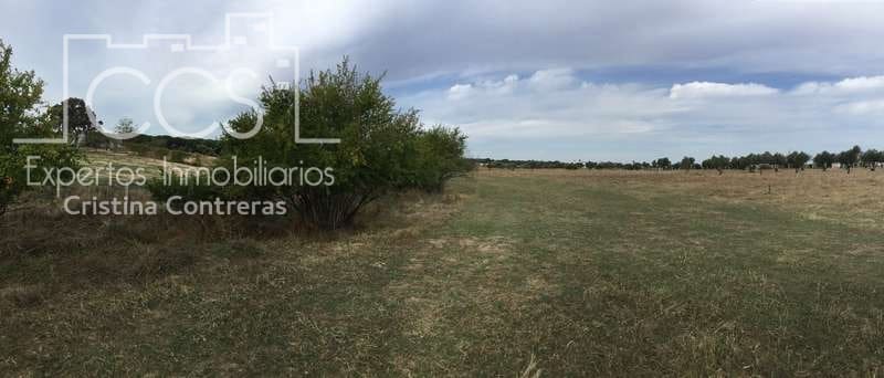2 bedroom Finca/Country House for sale in Almonte - € 80,000 (Ref: 5625630)