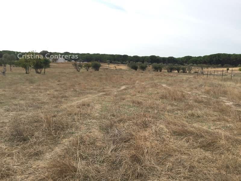 2 bedroom Finca/Country House for sale in Almonte - € 80,000 (Ref: 5625630)