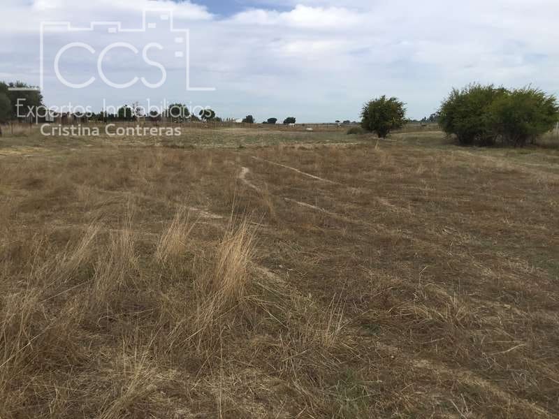 2 bedroom Finca/Country House for sale in Almonte - € 80,000 (Ref: 5625630)