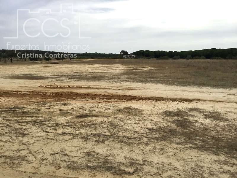 2 bedroom Finca/Country House for sale in Almonte - € 80,000 (Ref: 5625630)