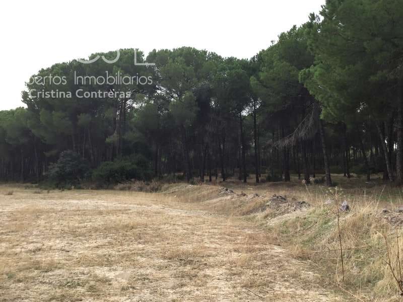 2 bedroom Finca/Country House for sale in Almonte - € 80,000 (Ref: 5625630)