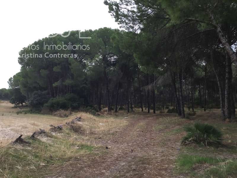 2 bedroom Finca/Country House for sale in Almonte - € 80,000 (Ref: 5625630)