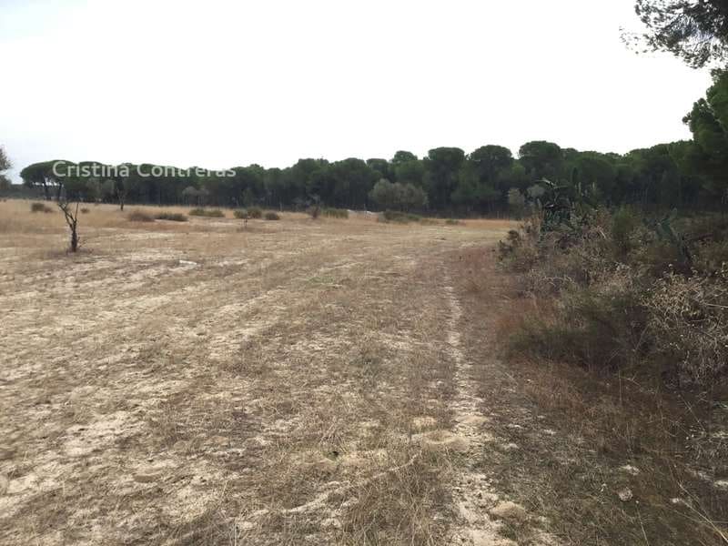 2 bedroom Finca/Country House for sale in Almonte - € 80,000 (Ref: 5625630)