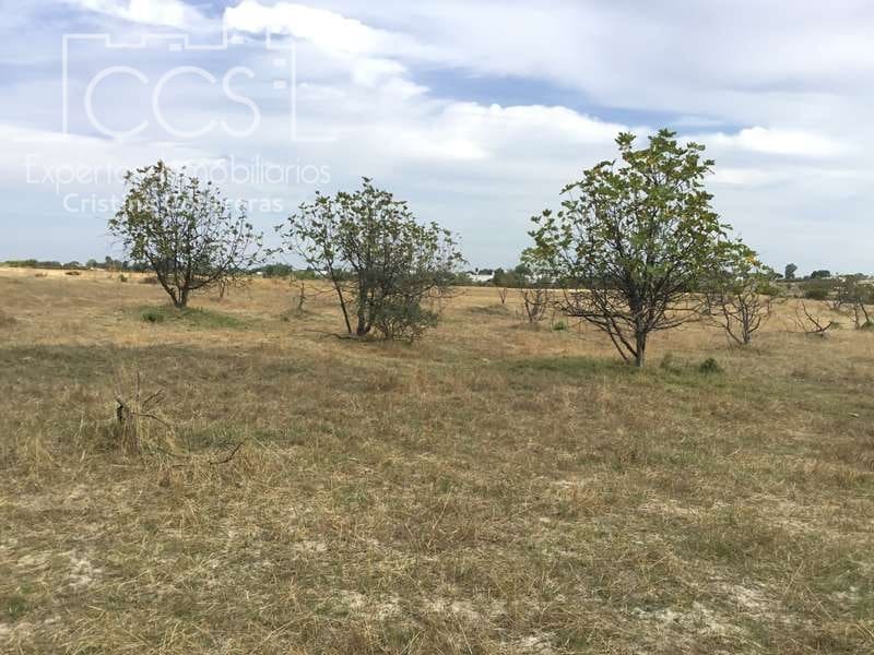 2 bedroom Finca/Country House for sale in Almonte - € 80,000 (Ref: 5625630)