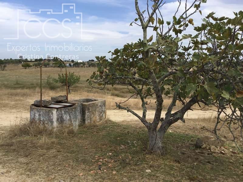 2 bedroom Finca/Country House for sale in Almonte - € 80,000 (Ref: 5625630)