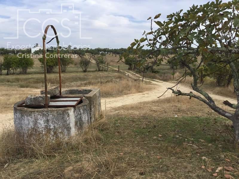 2 bedroom Finca/Country House for sale in Almonte - € 80,000 (Ref: 5625630)
