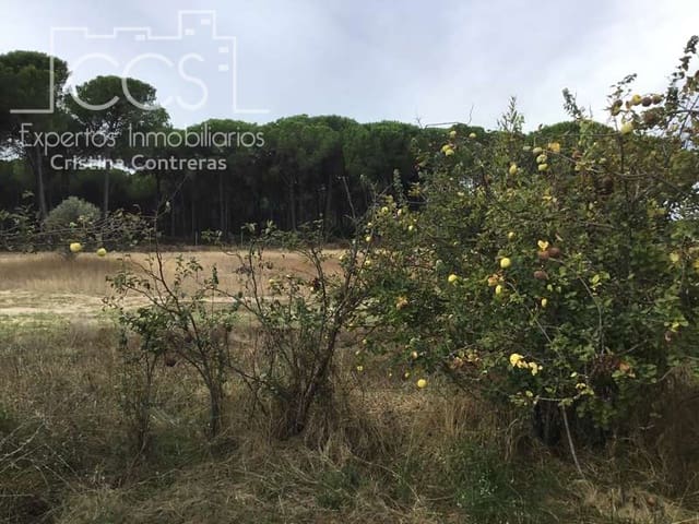 2 Zimmer Finca/Landgut zu verkaufen in Almonte - 80.000 € (Ref: 5625630)