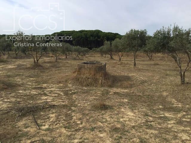 2 Zimmer Finca/Landgut zu verkaufen in Almonte - 80.000 € (Ref: 5625630)