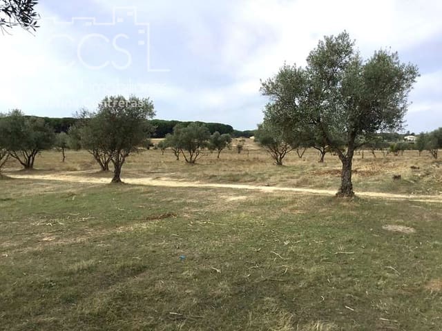 2 Zimmer Finca/Landgut zu verkaufen in Almonte - 80.000 € (Ref: 5625630)