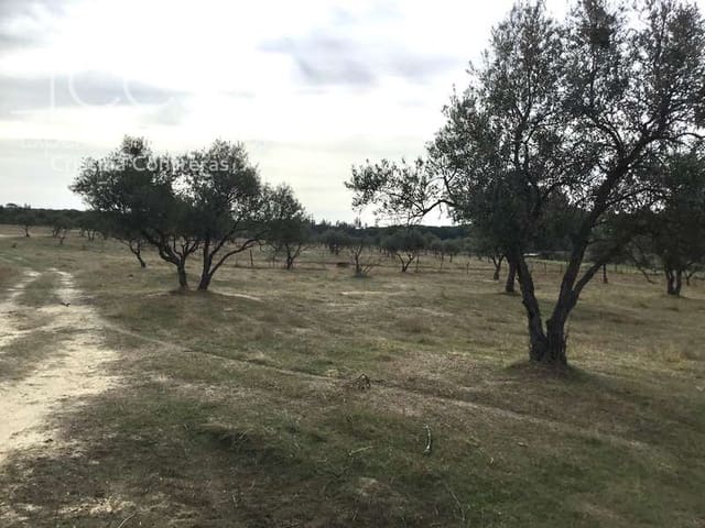 2 Zimmer Finca/Landgut zu verkaufen in Almonte - 80.000 € (Ref: 5625630)