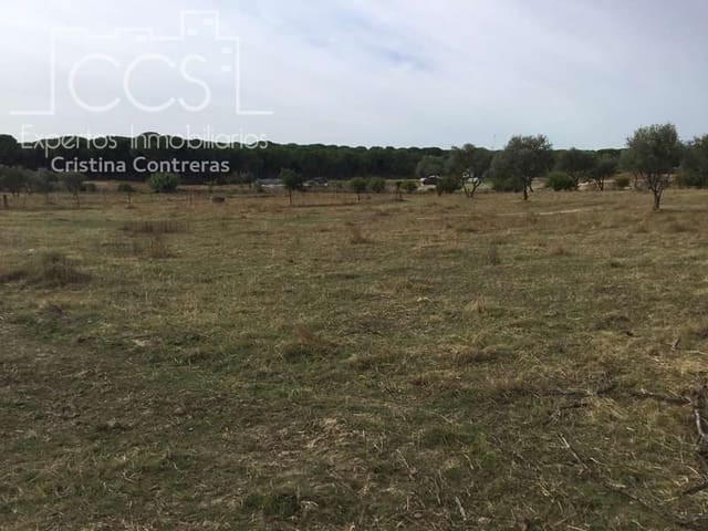 2 Zimmer Finca/Landgut zu verkaufen in Almonte - 80.000 € (Ref: 5625630)