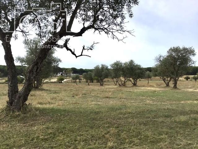 2 Zimmer Finca/Landgut zu verkaufen in Almonte - 80.000 € (Ref: 5625630)