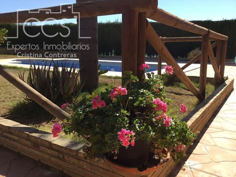 3 Zimmer Finca/Landgut zu verkaufen in Aznalcazar mit Pool Garage - 230.000 € (Ref: 5654718)